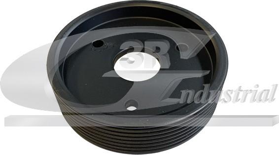3RG 10668 - Fulie, pompa servo allinparts.ro