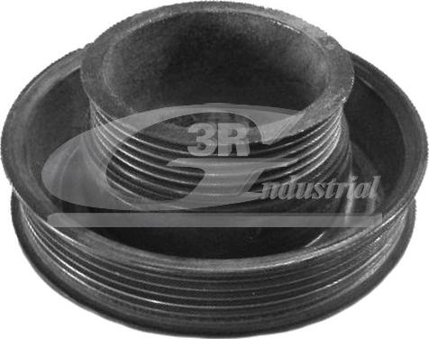 3RG 10314 - Fulie curea, arbore cotit allinparts.ro