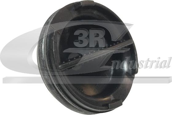3RG 84216 - Surub de golire,baia de ulei allinparts.ro