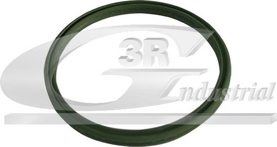 3RG 85793 - Inel etansare, furtun aer supraalimentare - allinparts.ro