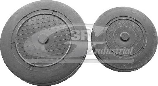 3RG 80663 - Dop, gaura de montaj ax culbutori - allinparts.ro