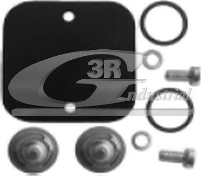 3RG 80004 - Membrana, pompa vacuum allinparts.ro