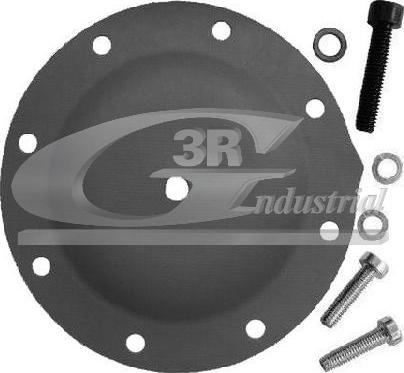 3RG 80002 - Membrana, pompa vacuum allinparts.ro