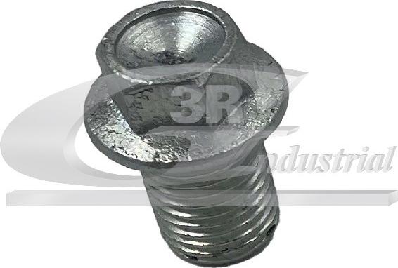 3RG 83096 - Surub de golire,baia de ulei allinparts.ro