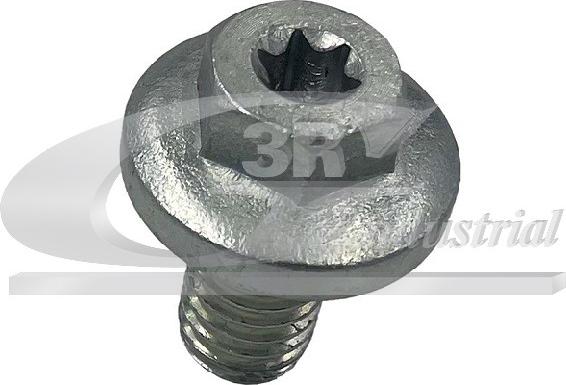 3RG 83093 - Surub de golire,baia de ulei - allinparts.ro