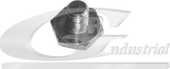 3RG 83002 - Surub de golire,baia de ulei allinparts.ro