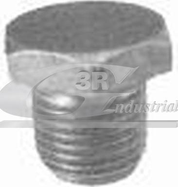 3RG 83011 - Surub de golire,baia de ulei allinparts.ro