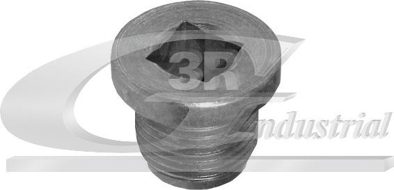 3RG 83017 - Surub de golire,baia de ulei allinparts.ro
