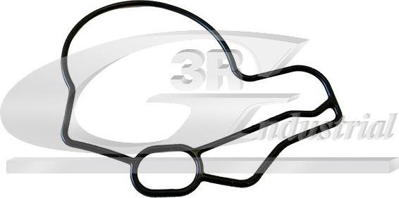 3RG 82687 - Garnitura, pompa vacuum - allinparts.ro