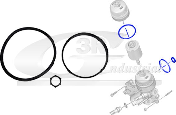 3RG 36208 - Etansare, filtru ulei allinparts.ro