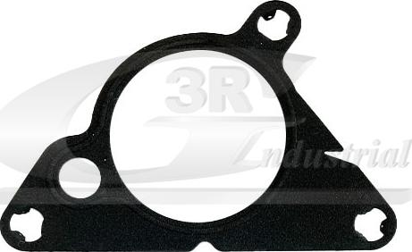 3RG 74213 - Garnitura, pompa vacuum allinparts.ro