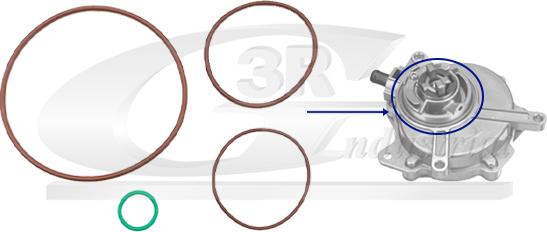 3RG 74706 - Set etansare, pompa vacuum allinparts.ro