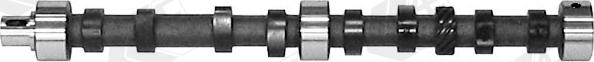 AE CAM1076 - Ax cu came - allinparts.ro
