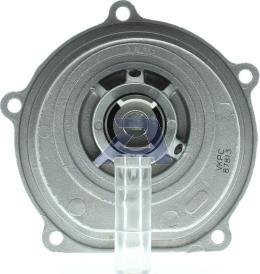 AISIN WPH-902 - Pompa apa - allinparts.ro