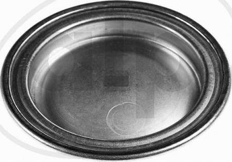 ALP ALP-002320 - Capac, carburator - allinparts.ro