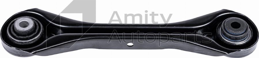 Amity AP 10-SA-0013 - Brat, suspensie roata - allinparts.ro