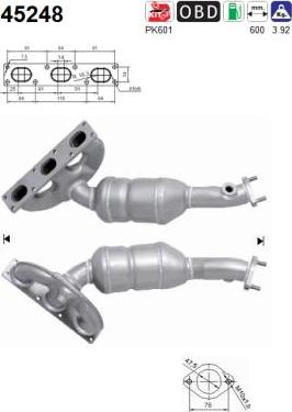 AS 45248 - Catalizator - allinparts.ro