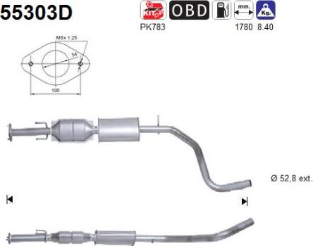 AS 55303D - Catalizator - allinparts.ro
