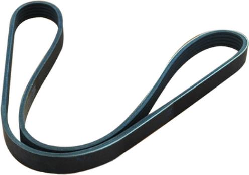 ASAM 55988 - Curea transmisie cu caneluri allinparts.ro