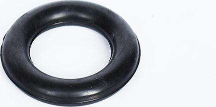 ASAM 55481 - Suport, toba esapament allinparts.ro