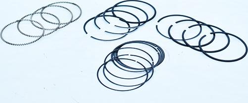 ASAM 55838 - Set segmenti piston - allinparts.ro