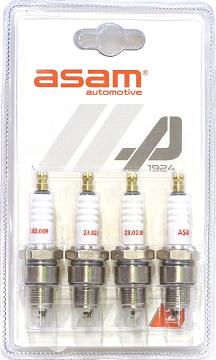 ASAM 01119 - Bujii allinparts.ro