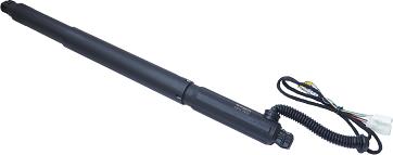 ASAM 100176 - Amortizor portbagaj - allinparts.ro