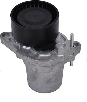 ASAM 101309 - Intinzator curea, curea distributie - allinparts.ro