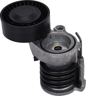 ASAM 101295 - Intinzator curea, curea distributie - allinparts.ro