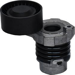 ASAM 101291 - Intinzator curea, curea distributie allinparts.ro