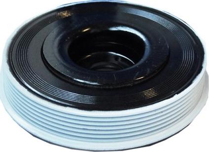 ASAM 80291 - Fulie curea, arbore cotit allinparts.ro