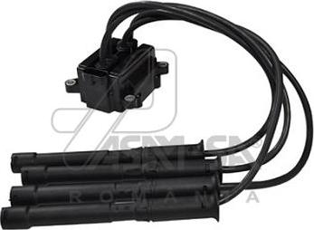 ASAM 30638 - Bobina de inductie allinparts.ro