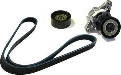 ASAM 25141 - Set curea transmisie cu caneluri - allinparts.ro
