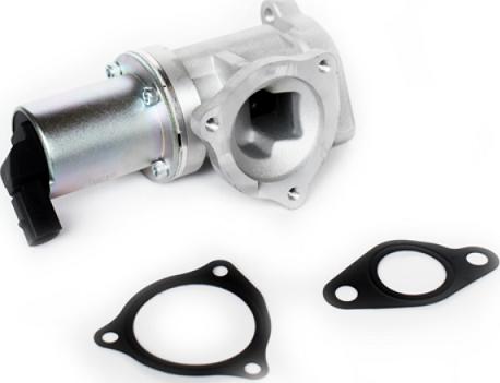 ASAM 73338 - Supapa EGR allinparts.ro