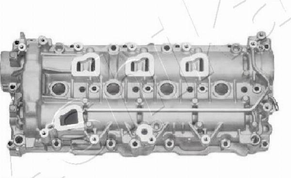 Ashika XX-COPERCHIO - Capac culbutor - allinparts.ro