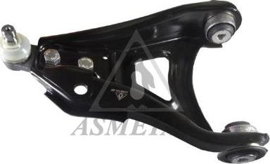 AS Metal 30RN2002 - Brat, suspensie roata - allinparts.ro