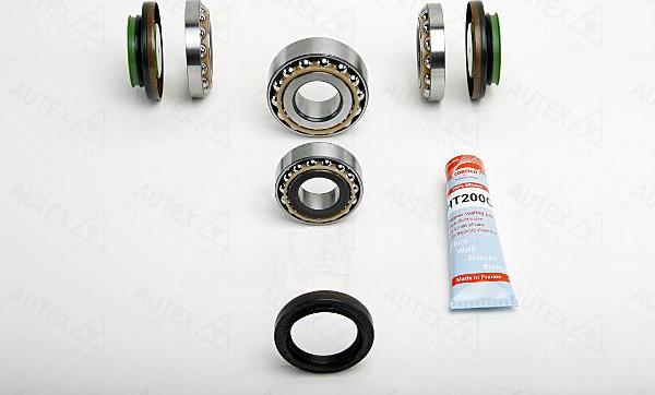 Autex 957029 - Set reparatie, diferential - allinparts.ro