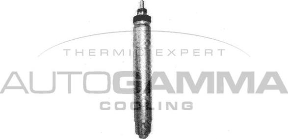 Autogamma 106300 - Uscator,aer conditionat allinparts.ro