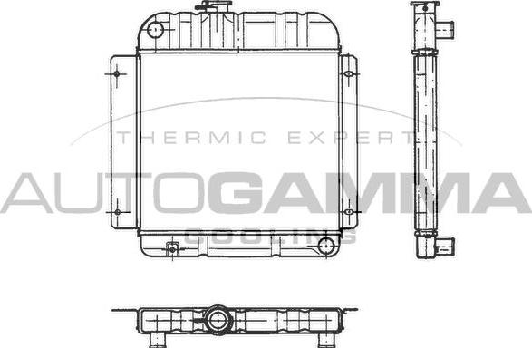 Autogamma 100080 - Radiator, racire motor - allinparts.ro