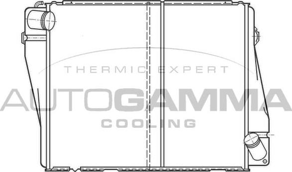 Autogamma 100081 - Radiator, racire motor - allinparts.ro