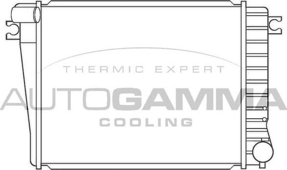 Autogamma 100134 - Radiator, racire motor - allinparts.ro