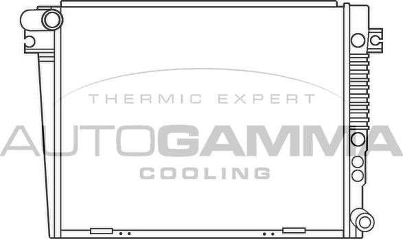Autogamma 100135 - Radiator, racire motor - allinparts.ro