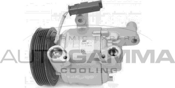 Autogamma 118590 - Compresor, climatizare allinparts.ro