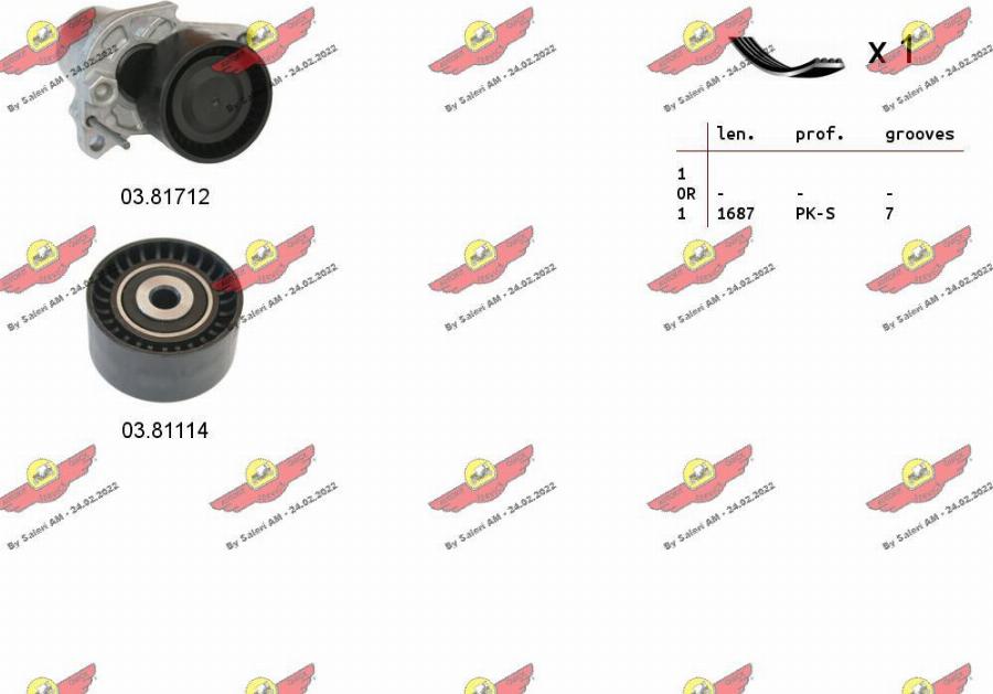 Autokit 06.0133 - Set curea transmisie cu caneluri - allinparts.ro