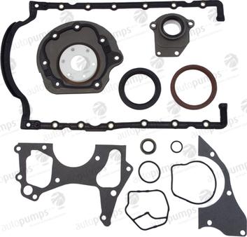 Autopumps UK ACSF818 - Set garnituri, carter allinparts.ro