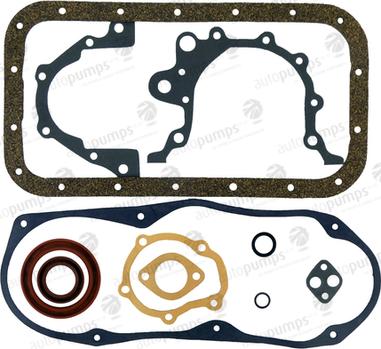 Autopumps UK ACSS390 - Set garnituri, carter allinparts.ro