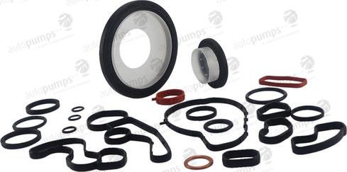 Autopumps UK CS3009P - Set garnituri, carter allinparts.ro