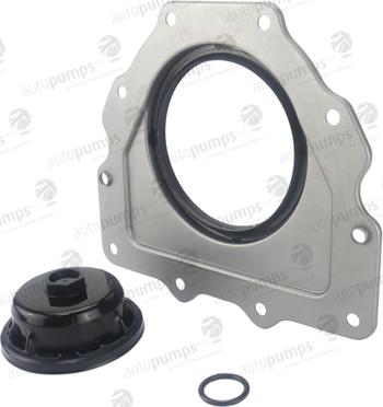 Autopumps UK CS3006R - Set garnituri, carter allinparts.ro