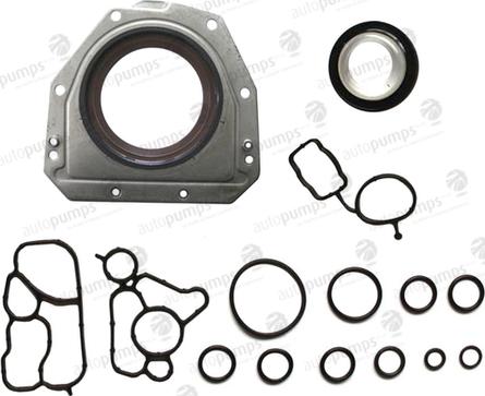 Autopumps UK CS3011W - Set garnituri, carter allinparts.ro