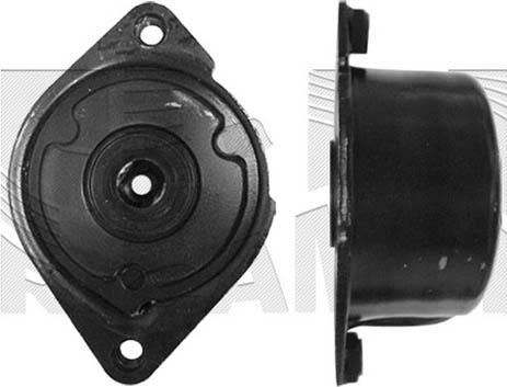Autoteam A05876 - Intinzator curea, curea distributie - allinparts.ro